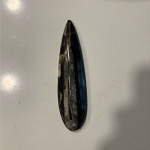 Fossilized Orthoceras Stone